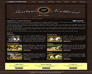 lusitano_northwest